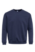 PULOVER DENIM ALBASTRU AVALON