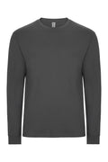 TRICOU MANECA LUNGA GRI INCHIS PALM