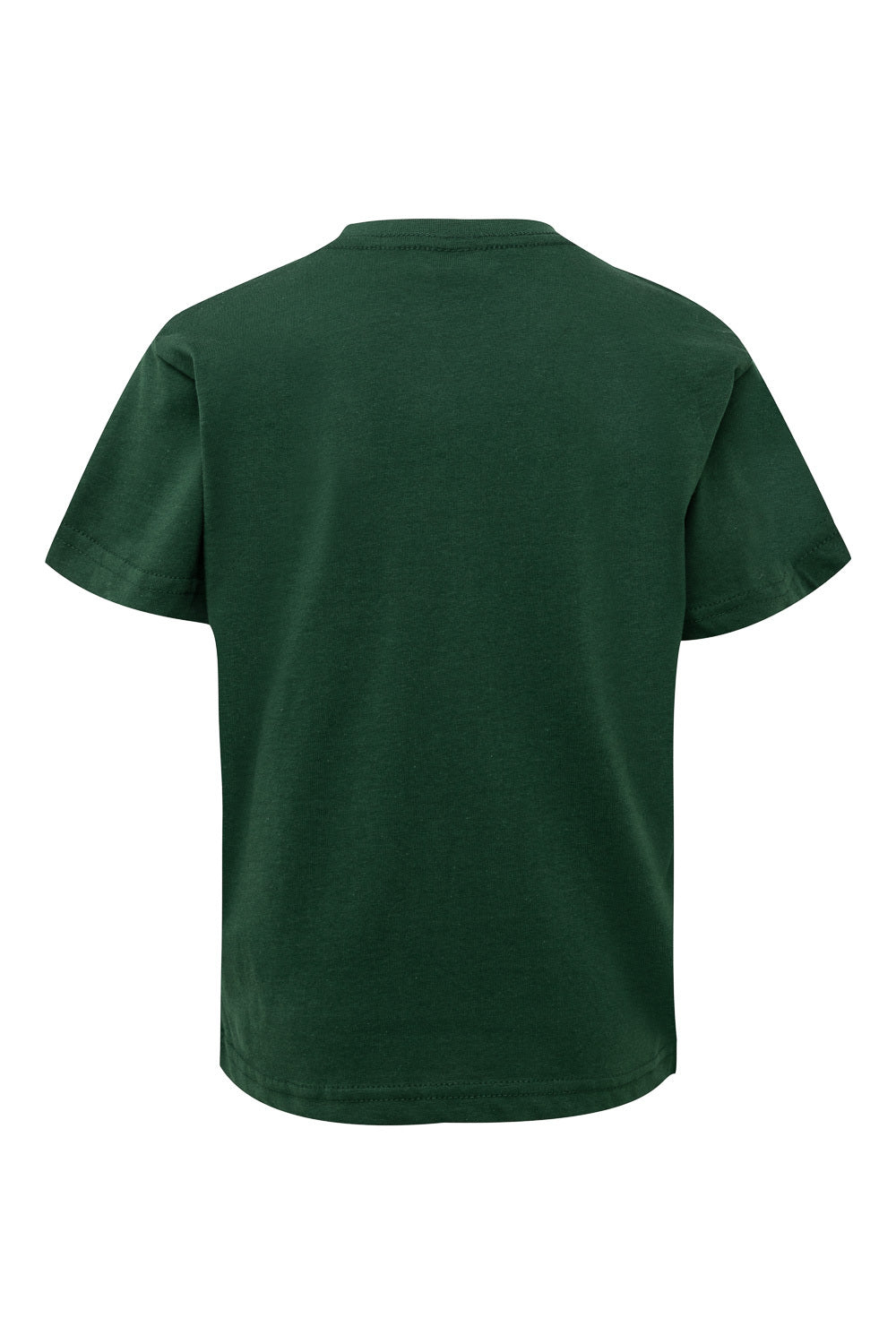 TRICOU COPII MANECA LUNGA VERDE TUBORG PALM